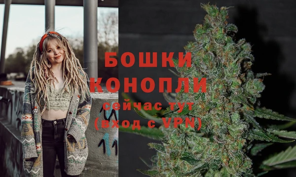 spice Няндома