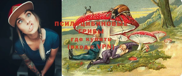 spice Няндома