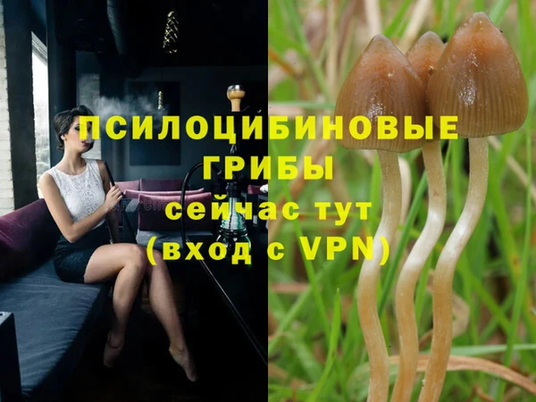 меф Иноземцево